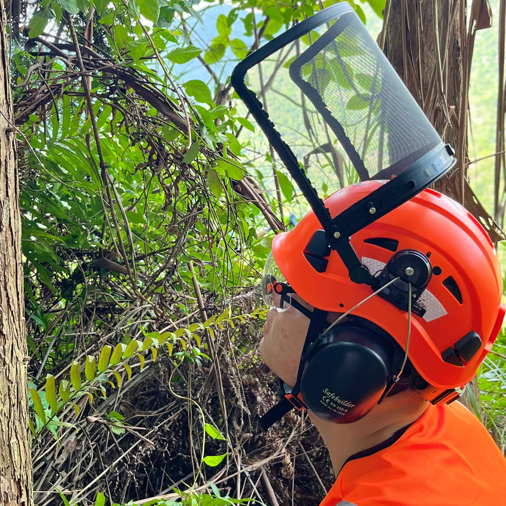 4 in 1 Forestry Safety Helmet with Visor Face Shield and Ear Muffs